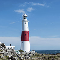 Buy canvas prints of Portland Bill Lighthouse in Dorset South Dorset Co by Nick Jenkins