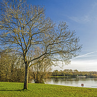 Buy canvas prints of Cosmeston Lakes Country Park Penarth south Wales by Nick Jenkins
