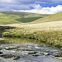 Buy canvas prints of The Upper River Elan in Powys Remote Mid Wales by Nick Jenkins