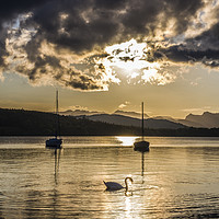 Buy canvas prints of Evening at Millerground on the shores of Windermer by Nick Jenkins