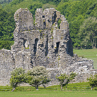 Buy canvas prints of Ruins of Ogmore Castle Ogmore by Sea Close Up  by Nick Jenkins