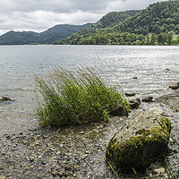 Buy canvas prints of Shore of Ullswater Lake District  by Nick Jenkins