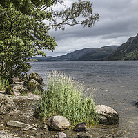 Buy canvas prints of The Shoreline of Ullswater in the Summertime by Nick Jenkins
