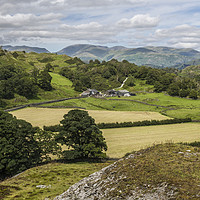 Buy canvas prints of Tilberthwaite Valley Lake District in Summer by Nick Jenkins