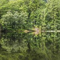 Buy canvas prints of Reflections in Yew Tree Tarn Lake District by Nick Jenkins