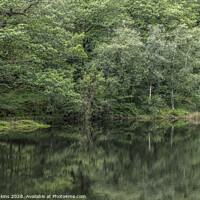 Buy canvas prints of Yew Tree Tarn Reflections Lake District by Nick Jenkins