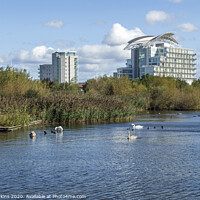 Buy canvas prints of Cardiff Bay Wetlands Centre South Wales by Nick Jenkins