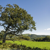 Buy canvas prints of View of countryside below the Caerau Fort by Nick Jenkins