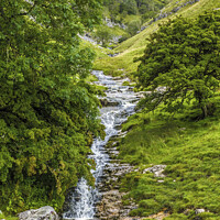 Buy canvas prints of Looking Up Buckden Ghyll or Gill Yorkshire Dales by Nick Jenkins