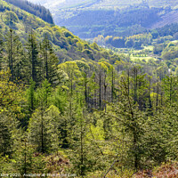 Buy canvas prints of Looking down the Talybont Valley Brecon Beacons by Nick Jenkins