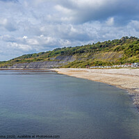 Buy canvas prints of Monmouth Beach at Lyme Regis on the Dorset coast by Nick Jenkins