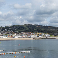 Buy canvas prints of Lyme Regis from the Cobb Dorset Coast by Nick Jenkins