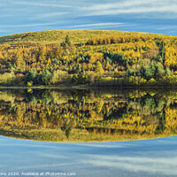 Buy canvas prints of Hill and Trees reflected in Pontsticill Reservoir by Nick Jenkins