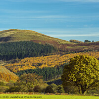 Buy canvas prints of Tor y Foel from the Talybont Valley Brecon Beacons by Nick Jenkins