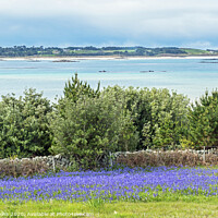 Buy canvas prints of View from St Martins to Tresco Scilly Isles by Nick Jenkins