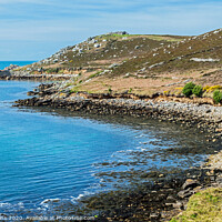 Buy canvas prints of Cromwell's Castle off Tresco in the Scillies by Nick Jenkins