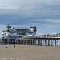Buy canvas prints of The Grand Pier at Weston Super Mare Somerset by Nick Jenkins