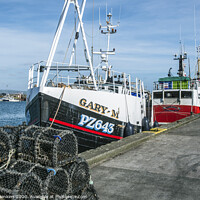 Buy canvas prints of Trawlers moored up in Newlyn Harbour in Cornwall by Nick Jenkins
