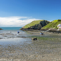 Buy canvas prints of Beach at Abercastle in the Pembrokeshire Coast Nat by Nick Jenkins