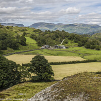 Buy canvas prints of Tilberthwaite Valley Lake District in Summer by Nick Jenkins