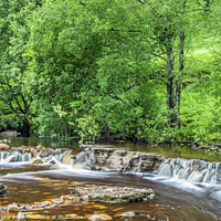 Buy canvas prints of Wainwath Force in Swaledale Yorkshire Dales  by Nick Jenkins