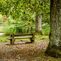 Buy canvas prints of Cannop Ponds in the Forest of Dean Gloucestershire by Nick Jenkins