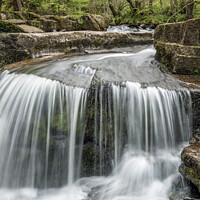 Buy canvas prints of The Taff Fechan Waterfall in May Brecon Beacons by Nick Jenkins