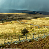 Buy canvas prints of Winter on the Central Brecon Beacons off the Well  by Nick Jenkins