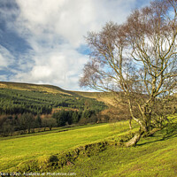 Buy canvas prints of Upper Taf Fechan Valley Brecon Beacons South Wales by Nick Jenkins