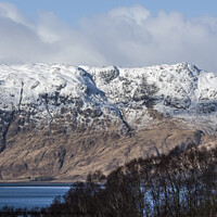 Buy canvas prints of Creach Bheinn across Loch Linnhe Scotland by Nick Jenkins