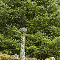 Buy canvas prints of Granite Waymarker Cross on Devonport Leat Dartmoor by Nick Jenkins