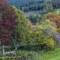Buy canvas prints of Autumn in the Talybont Valley Brecon Beacons Wales by Nick Jenkins