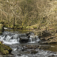 Buy canvas prints of Waterfall Pont Cwm y Fedwen Brecon Beacons Powys by Nick Jenkins