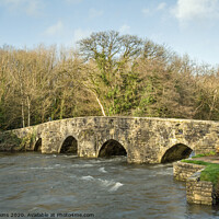 Buy canvas prints of Merthyr Mawr Dipping Bridge Bridgend South Wales by Nick Jenkins