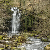Buy canvas prints of Blaen y Glyn Falls Brecon Beacons National Park  by Nick Jenkins