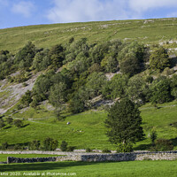 Buy canvas prints of Fell Above Buckden in Upper Wharfedale Yorkshire  by Nick Jenkins