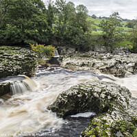 Buy canvas prints of Linton Falls near Grassington Wharfedale Yorkshire by Nick Jenkins