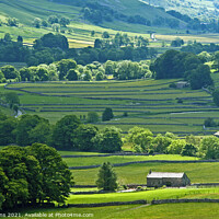 Buy canvas prints of Looking Down Littondale Yorkshire Dales by Nick Jenkins