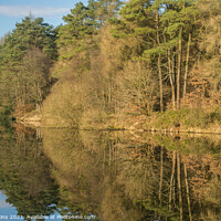 Buy canvas prints of Clydach Reservoir Llanwonno Forest Rhondda Fawr  by Nick Jenkins