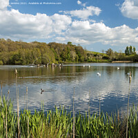 Buy canvas prints of The Lake at Llandrindod Wells Powys Mid Wales by Nick Jenkins