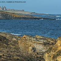 Buy canvas prints of Dunstanburgh Castle seen from Howick Northumberlan by Nick Jenkins
