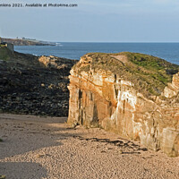 Buy canvas prints of Coast View from Howick up to Dunstanburgh Castle by Nick Jenkins