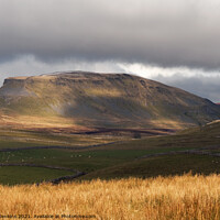 Buy canvas prints of Pen y Ghent in the Yorkshire Dales National Park by Nick Jenkins