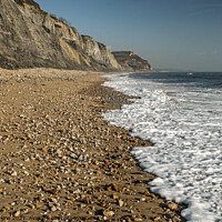 Buy canvas prints of Charmouth East Beach on the Dorset Coast  by Nick Jenkins