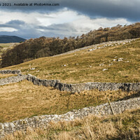 Buy canvas prints of Yorkshire Dales Fellside with Pen y Ghent Behind by Nick Jenkins