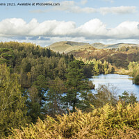Buy canvas prints of Tarn Hows Lake District National Park Cumbria by Nick Jenkins