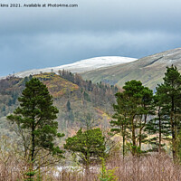Buy canvas prints of Clough Head from Thirlmere in the Lake District  by Nick Jenkins
