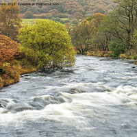 Buy canvas prints of River Tywi below Llyn Brianne Reservoir Carmarthen by Nick Jenkins