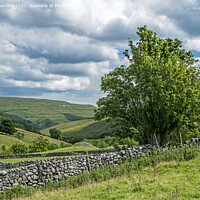Buy canvas prints of Langstrothdale View Yorkshire Dales National Park by Nick Jenkins
