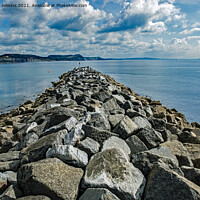 Buy canvas prints of The end of the Cobb at Lyme Regis Dorset by Nick Jenkins